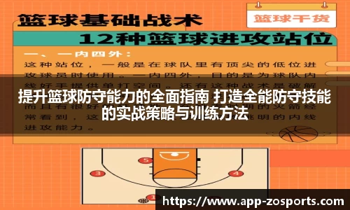 中欧体育