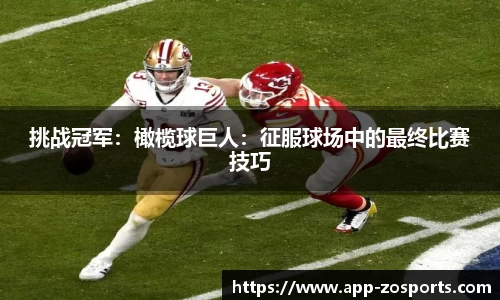 中欧体育官网